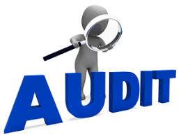 What Is Secretarial Audit?