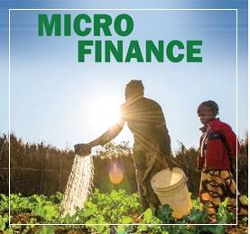 Micro Financing Business vs Ceiling on Interest Rates