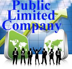  What is practical meaning of Public Limited Company? and list some of the examples?