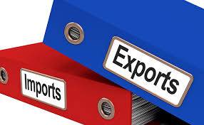 WHO WILL ISSUE IMPORT EXPORT CODE?