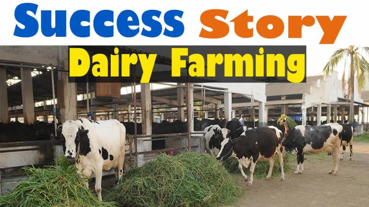 How can I start a dairy business in India?