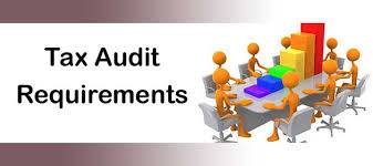 What is the difference between statutory audit and tax audit?
