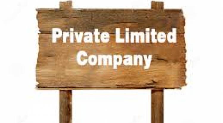 What is Equity and how is equity divided in Private Limited Company?