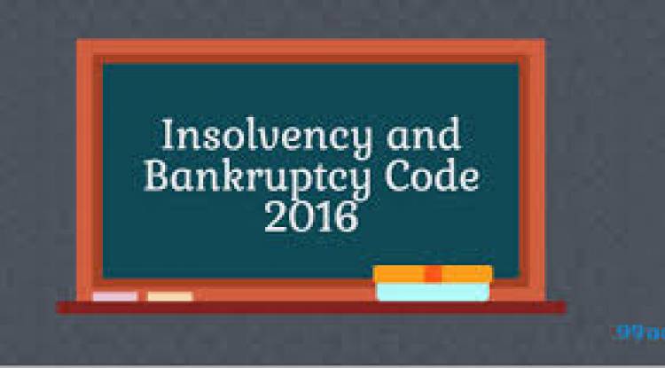What is the insolvency and Bankruptcy?