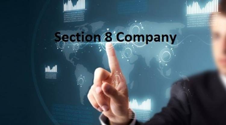 What is the minimum capital requirement for section 8 company?