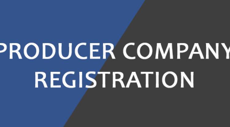 Producer Company registration