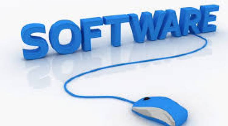 Setting up a wholly owned subsidiary of a foreign company(pvt) that sells software.