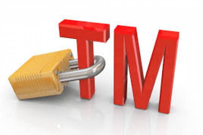 Reasons For Trademark Objection
