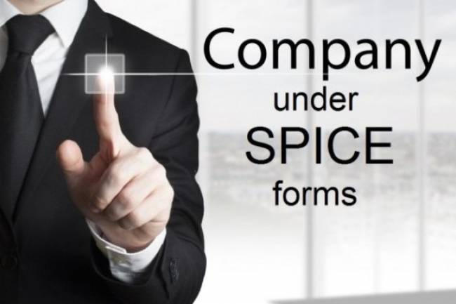 Frequently Asked Question (FAQs) on SPICe Forms for Company Registration in India