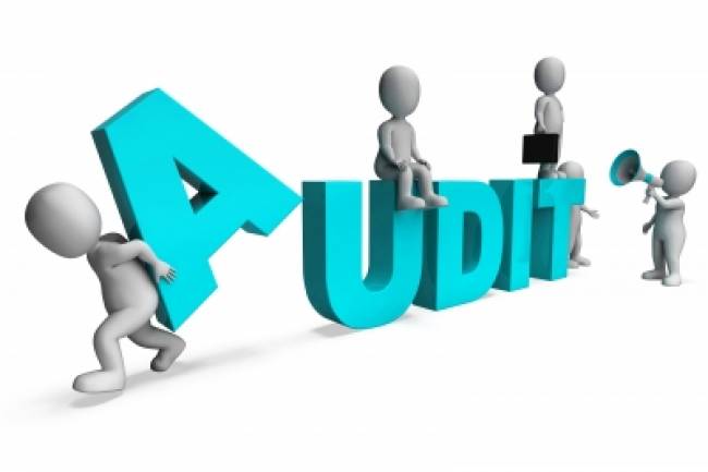 WHAT IS THE REQUIREMENT FOR APPOINTING AN AUDITOR?