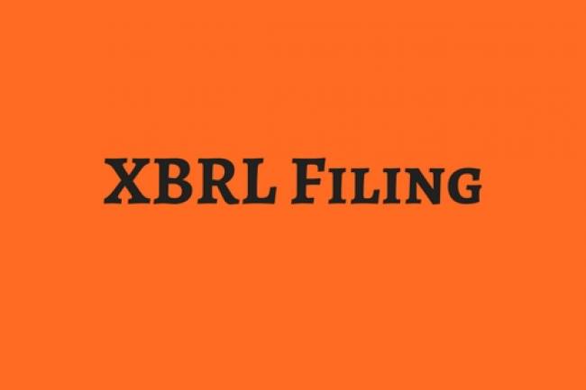 WHAT IS THE INFORMATION REQUIRED FOR XBRL FILLING?