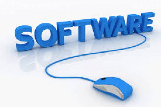 Setting up a wholly owned subsidiary of a foreign company(pvt) that sells software.