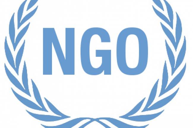 Can I register my own NGO without a graduate degree?