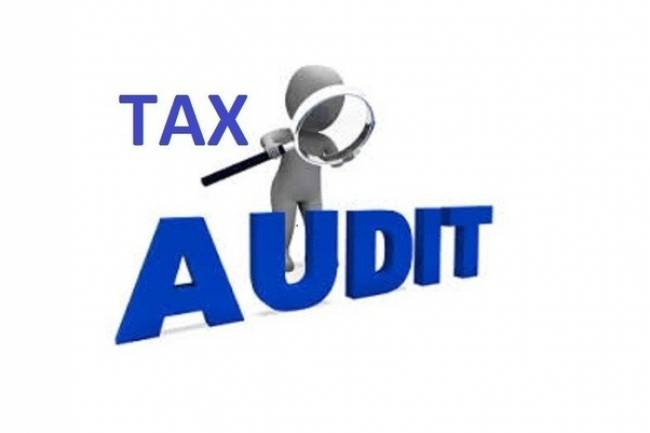 What happens in a tax audit?